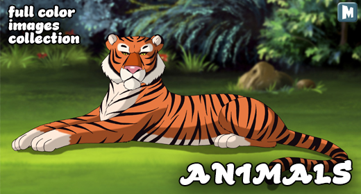 Animals Illustrations