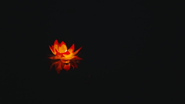 Glowing Paper Lantern a Flower Shape Floats On Water