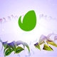Green Leaf Logo - VideoHive Item for Sale