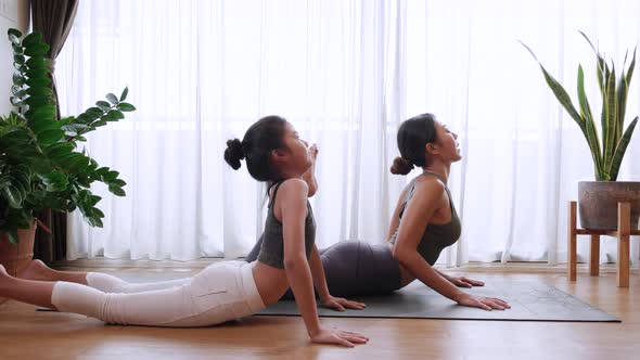 Healthy Little daughter and mom doing yoga Upward Facing Dog pose with dog at home