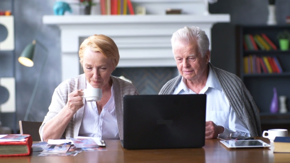 Elderly Happy Couple Working On The Computer alt