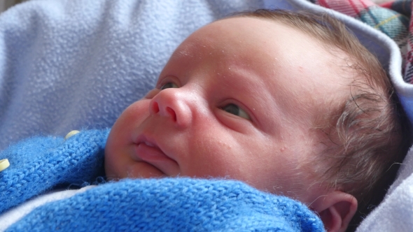Portrait Of Baby Laying On Back alt