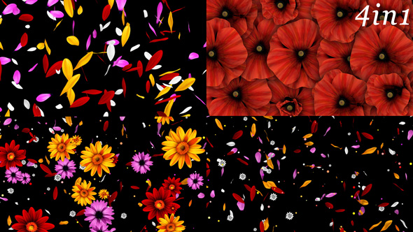 Colorful Flowers Pack