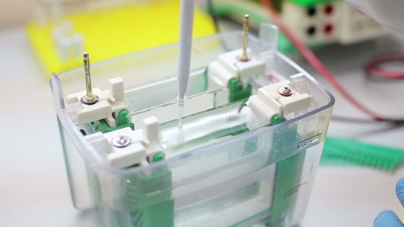 Laboratory Workplace For DNA Test