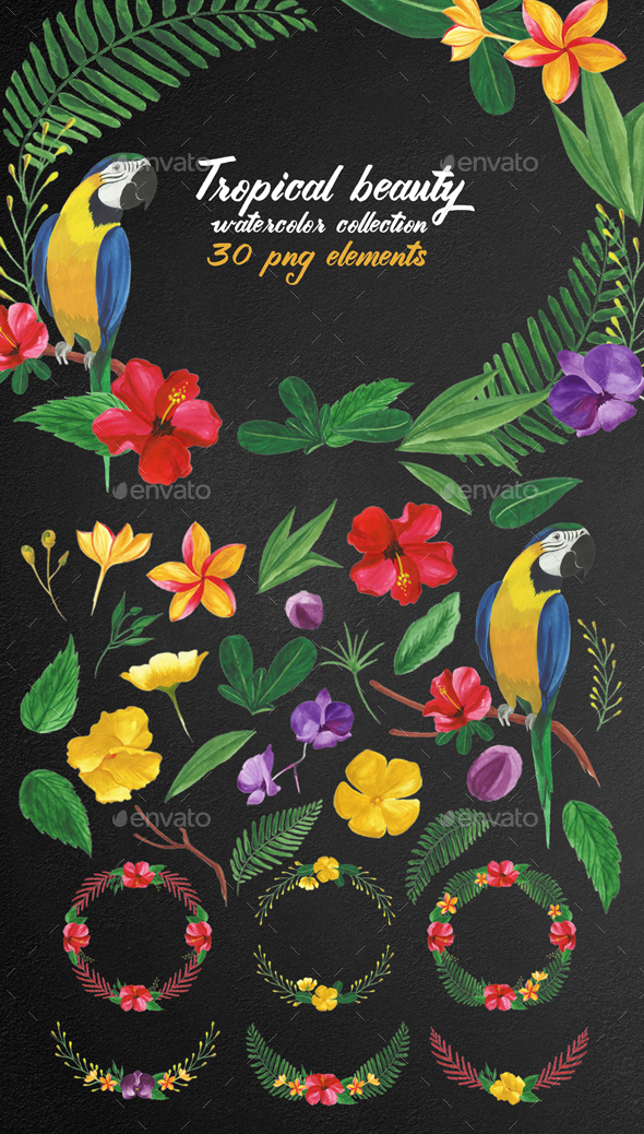 30 Tropical Floral Watercolor Elements - Nature Backgrounds