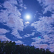 Full Moon Rises Above Trees on Starry Night Sky - VideoHive Item for Sale