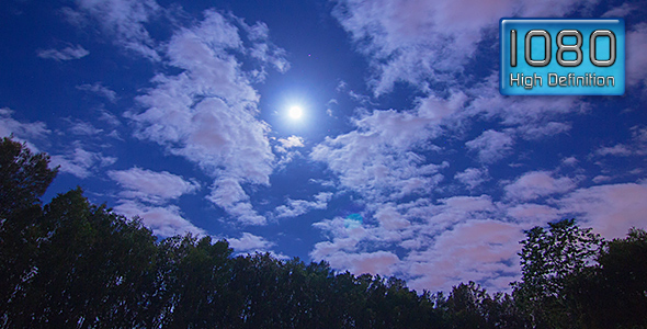 Full Moon Rises Above Trees on Starry Night Sky