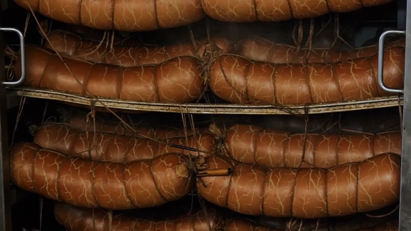 Sausage Is Hot In The Oven Cools Soars Smokes