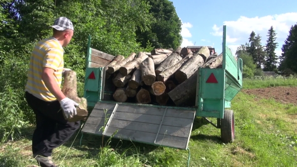Man Load Firewood Wood Logs In Tractor Trailer And Close It