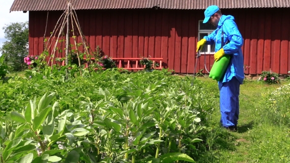 Man In Blue Clothes Mix Fertilizer In Sprayer At Potato Field 