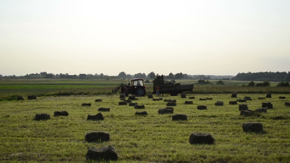 Workers Loading The Trailer Dry Compressed Hay Packet