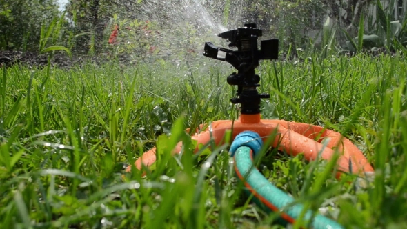 Sprinkler Spray Watering Flowers And Lawn Grass In Garden