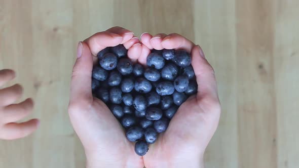 A Child's Hand Reaches for the Blueberry Lying in Women's Hands alt