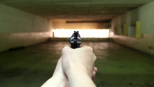 The Gun In The First Person In The Dash alt