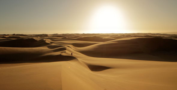 Man in the Desert