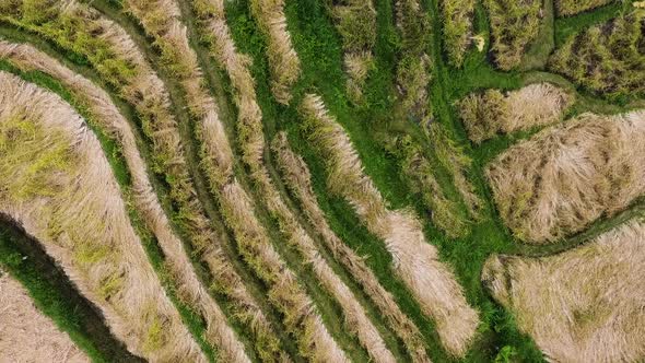 Incredible aerial top down footage of the rice terraces in Bali. alt