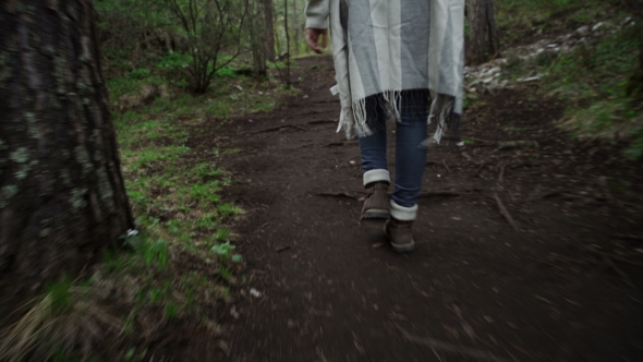 Woman Tracking Sticks Up on the Mountain, Hiking Trips in the Mountains