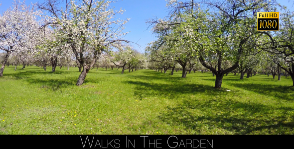 Walks In The Garden 2 alt