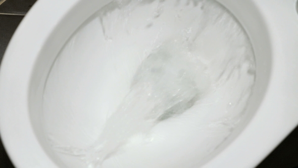 Drain The Water From Into a White Toilet