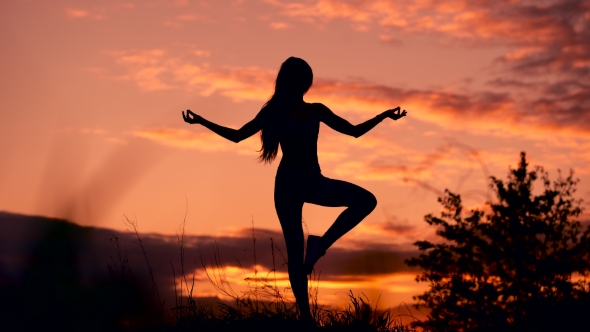 In Harmony With Oneself And The World. alt