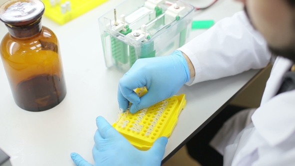 Laboratory Workplace For DNA Test alt