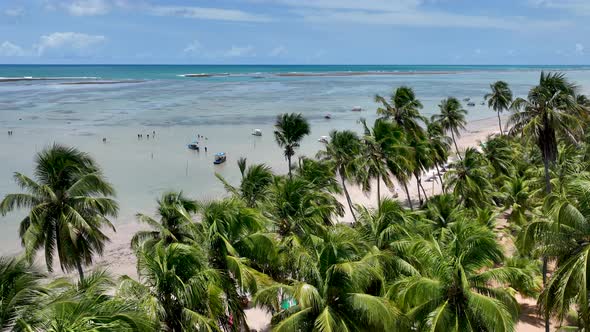 Patacho beach at Sao Miguel dos Milagres Alagoas Brazil. alt