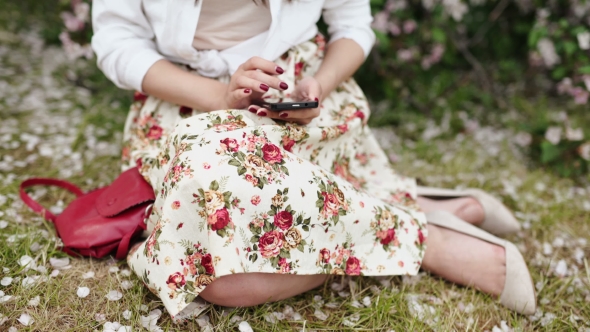 Woman Standing On The Meadow At The Blooming Tree , Using Smartphone alt