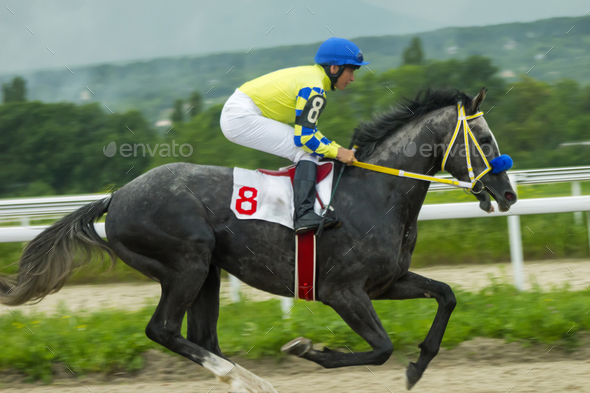 Horse racing in Pyatigorsk
