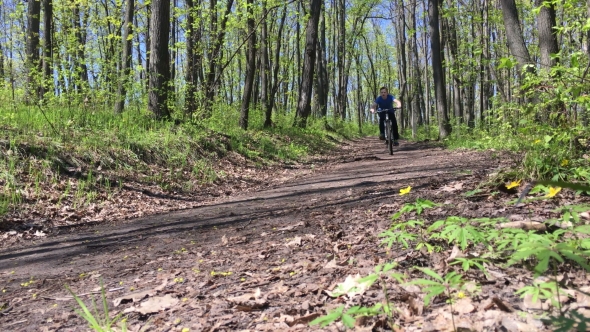 Boy Riding a Bicycle In The Woods