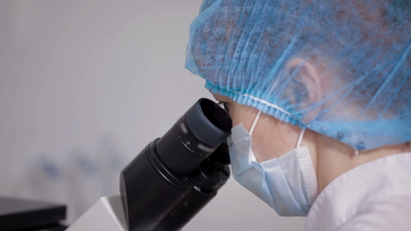 Medical Research In The Laboratory Insemination alt