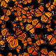 The Group of Butterflies - VideoHive Item for Sale