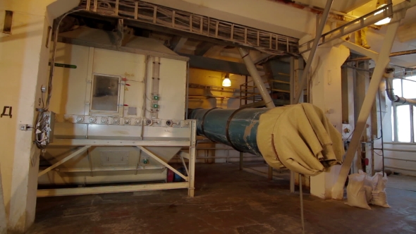 Plant For The Production Of Feed For Animals alt