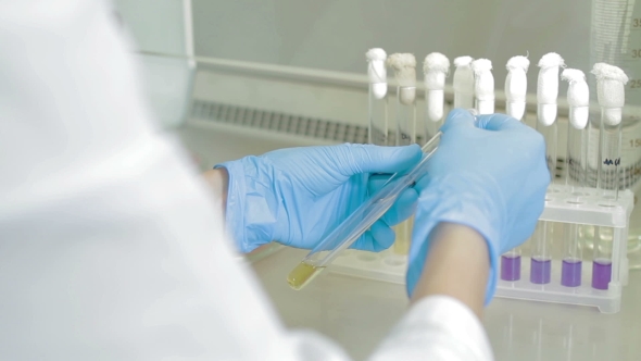 Laboratory Workplace For Test, Stock Footage | VideoHive