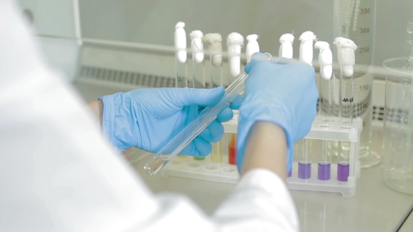 Bio Lab And Experiment, Stock Footage | VideoHive