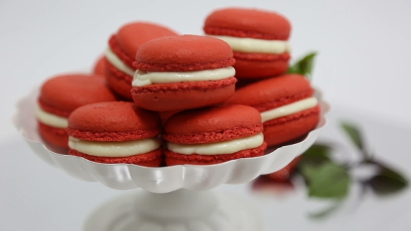 Rotating Ready Macaron