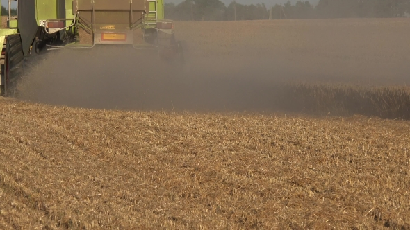 Farm Combine In Dust Rye Harvesting In Countryside