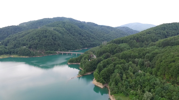 Mountain With Green Trees alt