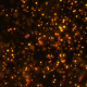 Particle Sparkling Backgrounds - 50