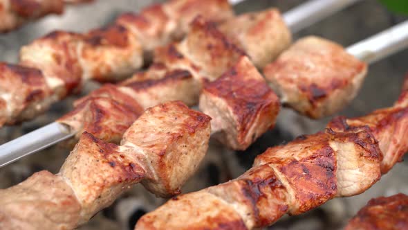 Barbecue on Open Air. Preparation of Meat on The Grill