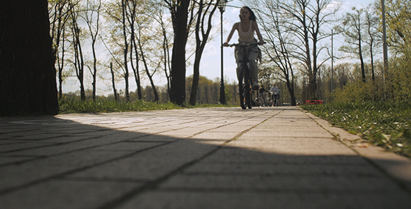 The Girl Riding a Bicycle Along the Road