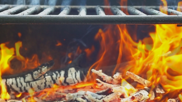 Barbecue On The Summer Nature Beach alt