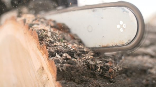 Cutting Through Wood With Chainsaw alt