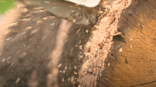 Cutting Through Wood With Chainsaw In alt