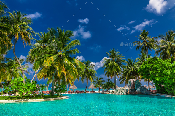 Large infinity swimming pool on the beach with palm trees and um - Stock Photo - Images