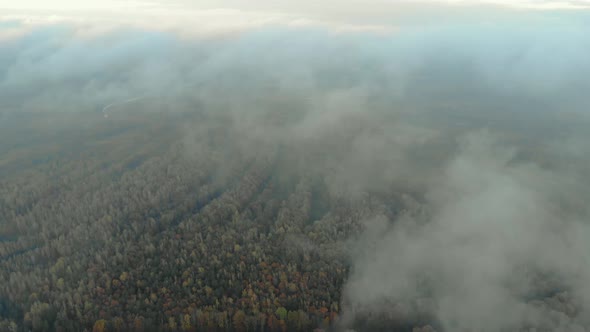 Aerial View From a Bird's-eye View of the Treetops Through Moving White Clouds, Top-down View alt