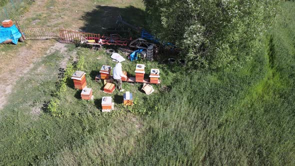 Beekeeping Concept alt