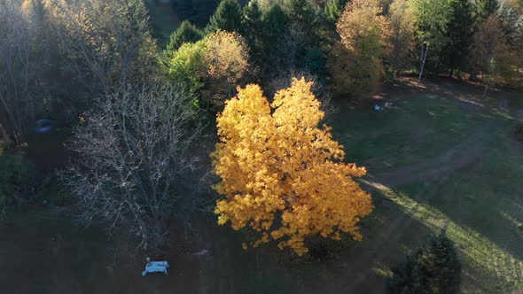 Aerial Drone Shot Flying Over Farm and Tilting Up to Reveal Fall Sunset