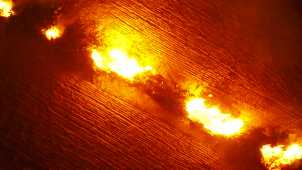 The process of making farmland requires clearing bush and tilling up the soil.  Once the bush is tak alt