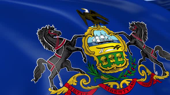 Pennsylvania State Flag 