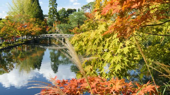 Relax Time in The Garden alt